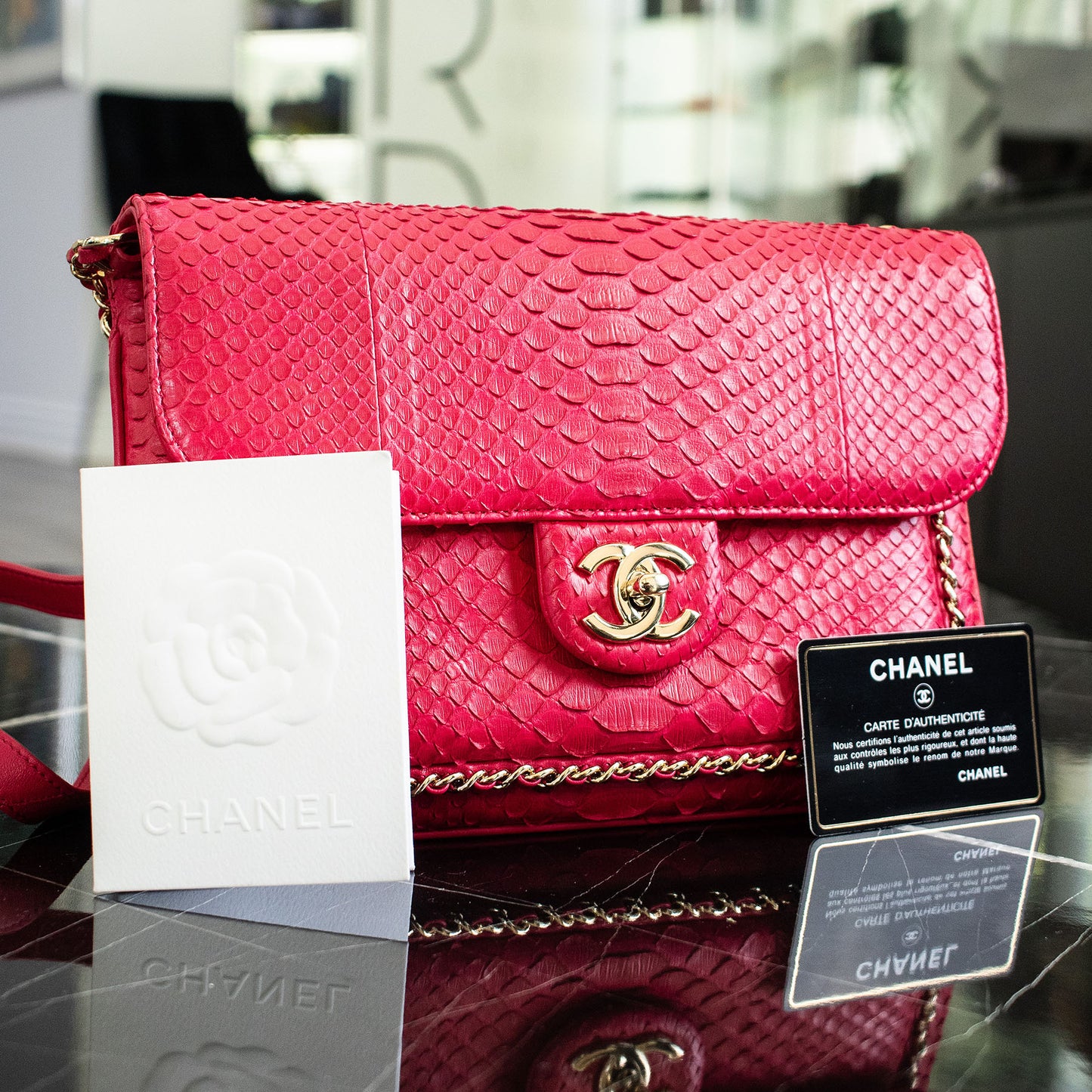 Chanel Python Unchained Pink CC Handbag