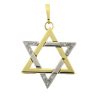 14k Two Tone Star of David Diamond Pendant