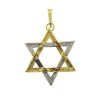 14k Two Tone Star of David Diamond Pendant