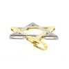 14k Two Tone Star of David Diamond Pendant