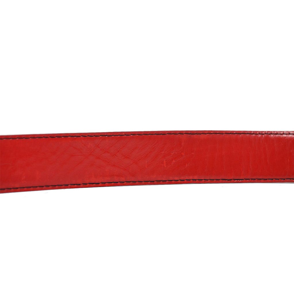 Louis Vuitton 85/34 Red EPI Leather Ceinture Belt Silver Buckle 95lk412s