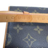 Louis Vuitton Florentine Pochette Monogram Canvas Belt bag